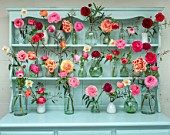 GREEN AND GORGEOUS FLOWERS, OXFORDSHIRE: ARRANGEMENT OF RANUNCULUS, NARCISSUS AND TULIPS IN GLASS JARS ON BLUE DRESSER BY RACHEL SIEGFRIED