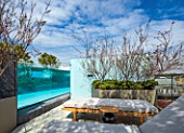 MAYFAIR PENTHOUSE GARDEN, LONDON, PLANTING ALASDAIR CAMERON: TERRACE, ROOF, SUN LOUNGER, SWIMMING POOL, RAISED BED, WILLOW, HEBE