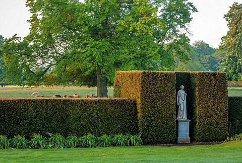 BRODSWORTH_HALL_YORKSHIRE_SUMMER_LAWNS_CLIPPED_TOPIARY_YEW_STATUE_TREES