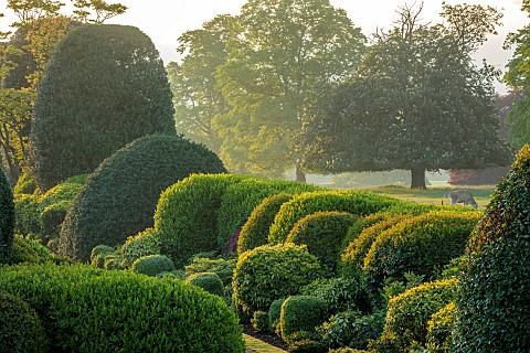 BRODSWORTH_HALL_YORKSHIRE_SUMMER_CLIPPED_TOPIARY_TREES_HEDGES_HEDGING