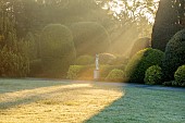 BRODSWORTH HALL, YORKSHIRE: SUMMER, CLIPPED TOPIARY HEDGES, HEDGING, DAWN, SUNRISE, MIST, FOG, PATHS, GRASS, LAWN, STATUE