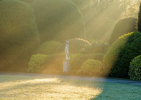 BRODSWORTH_HALL_YORKSHIRE_SUMMER_CLIPPED_TOPIARY_HEDGES_HEDGING_DAWN_SUNRISE_MIST_FOG_PATHS_GRASS_LA