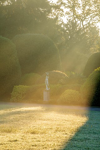 BRODSWORTH_HALL_YORKSHIRE_SUMMER_CLIPPED_TOPIARY_HEDGES_HEDGING_DAWN_SUNRISE_MIST_FOG_PATHS_GRASS_LA