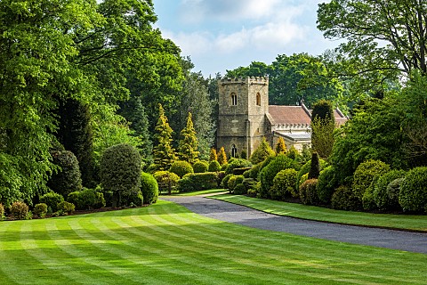 BRODSWORTH_HALL_YORKSHIRE_SUMMER_CLIPPED_TOPIARY_HEDGES_HEDGING_GRASS_LAWN_CHURCH