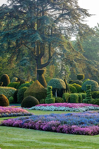 BRODSWORTH_HALL_YORKSHIRE_SUMMER_CLIPPED_TOPIARY_HEDGES_HEDGING_BEDDING_LAWN_FORMAL_BEDDING_TREES_VI