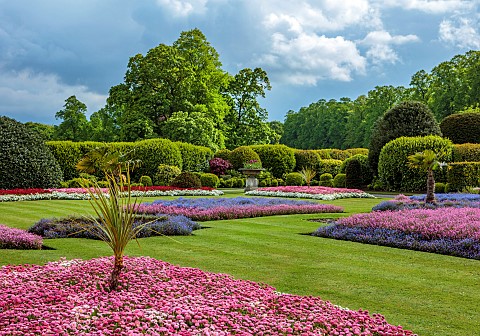 BRODSWORTH_HALL_YORKSHIRE_SUMMER_CLIPPED_TOPIARY_HEDGES_HEDGING_BEDDING_LAWN_FORMAL_BEDDING_TREES_VI