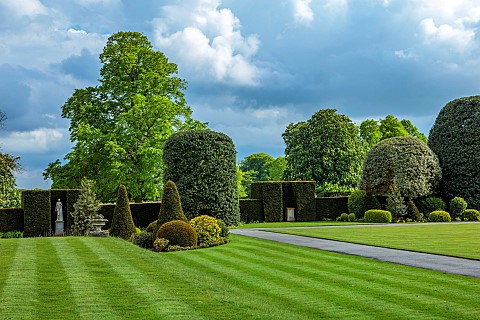 BRODSWORTH_HALL_YORKSHIRE_SUMMER_CLIPPED_TOPIARY_HEDGES_HEDGING_LAWN_PATH_TREES