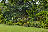 BRODSWORTH HALL, YORKSHIRE: SUMMER, LAWN, CLIPPED TOPIARY HEDGES, HEDGING, STATUE, TREES
