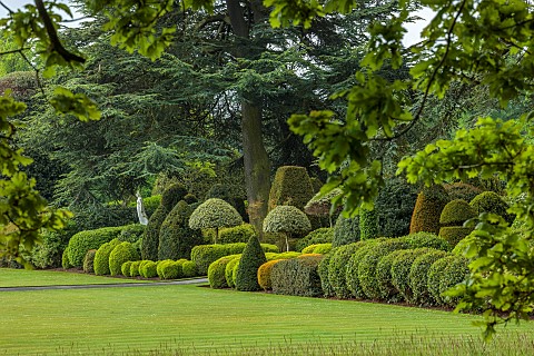 BRODSWORTH_HALL_YORKSHIRE_SUMMER_LAWN_CLIPPED_TOPIARY_HEDGES_HEDGING_STATUE_TREES