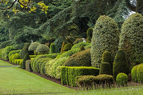 BRODSWORTH_HALL_YORKSHIRE_SUMMER_LAWN_CLIPPED_TOPIARY_HEDGES_HEDGING_STATUES_TREES
