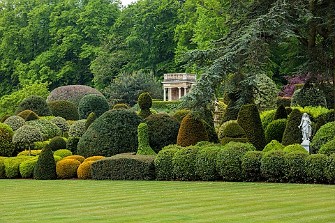 BRODSWORTH_HALL_YORKSHIRE_SUMMER_LAWN_CEDAR_CLIPPED_TOPIARY_HEDGES_HEDGING_STATUE_STONE_PAVILION_VIC