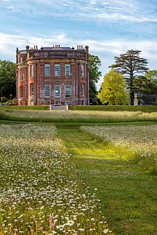 CHETTLE_DORSET_HOUSE_AND_MEADOW_OF_OXEEYE_DAISIES_JUNE