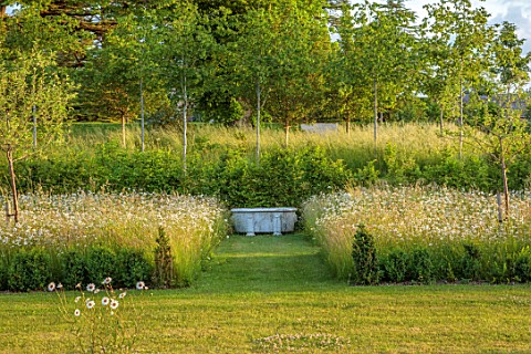 CHETTLE_DORSET_LAWN_PATHS_WILDFLOWERS_OXE__EYE_DAISIES_JUNE_CONTAINER