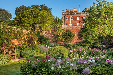 VEN_HOUSE_SOMERSET_THE_WALLED_GARDEN_JUNE_SUMMER_THE_HOUSE_WALLS_PEONIES_FOR_CUTTING_CUTTING_GARDEN_