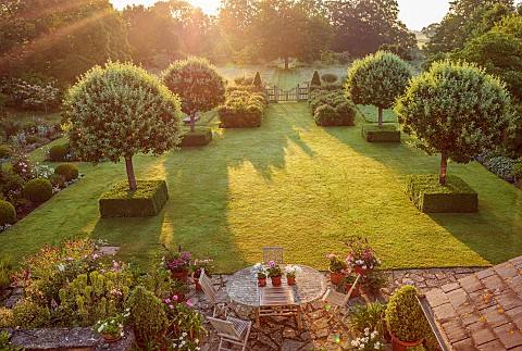 WESTBROOK_HOUSE_SOMERSET_DAWN_SUNRISE_TERRACE_PATIO_LAWN_CLIPPED_BOX_CUBES_PYRUS_NIVALIS_SNOW_PEAR_T