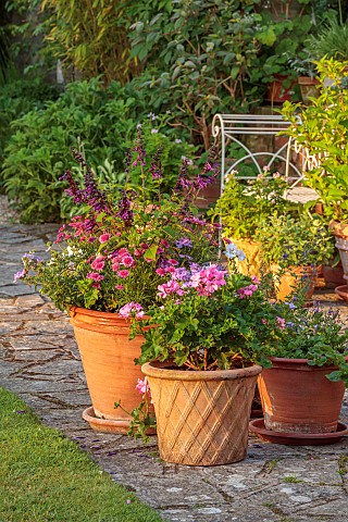 WESTBROOK_HOUSE_SOMERSET_SUMMER_TERRACE_PATIO_TERRACOTTA_CONTAINERS_SALVIAS_GERANIUMS