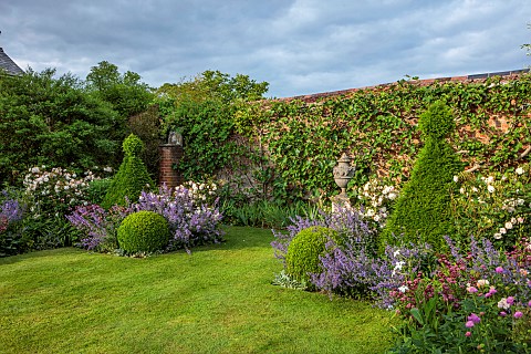 WESTBROOK_HOUSE_SOMERSET_LAWN_WALLS_ROSES_NEPETA_CLIPPED_BOX_YEW_SUMMER