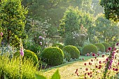 WESTBROOK HOUSE, SOMERSET: SUMMER, COUNTRY, GARDEN, LAWN, BORDERS, BOX BALLS, ROSES