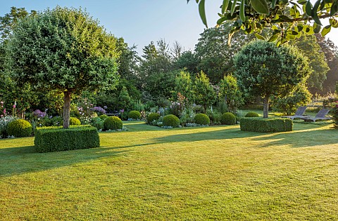 WESTBROOK_HOUSE_SOMERSET_LAWN_CLIPPED_BOX_CUBES_PYRUS_NIVALIS_SNOW_PEAR_TREES_COUNTRY_GARDEN_SUMMER