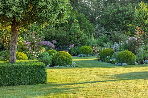 WESTBROOK_HOUSE_SOMERSET_LAWN_CLIPPED_BOX_CUBES_PYRUS_NIVALIS_SNOW_PEAR_TREES_COUNTRY_GARDEN_SUMMER_