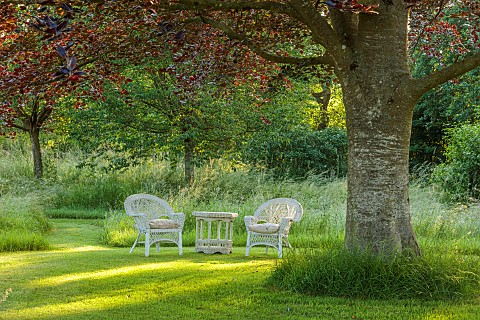 WESTBROOK_HOUSE_SOMERSET_LAWN_TABLE_CHAIRS_SCARLET_OAK_QUERCUS_COCCINEA_SUMMER_COUNTRY_GARDEN_WOODLA