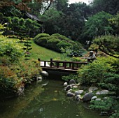 A WOODEN BRIDGE AND STREAM IN THE JAPANESE GARDEN AT THE HUNTINGTON BOTANICAL GARDENS  LOS ANGELES  CALIFORNIA.