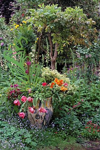 PAINTED_POT_WITH_PINK__APRICOT_PARROT_TULIPS_FOXGLOVES__HELICHRYSUM_LIMELIGHT_DESKEEYLA_MEADOWS_SAN_