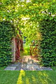 STOCKCROSS HOUSE, BERKSHIRE: VIEW THROUGH ORNATE METAL GATE TO LAWN, TREE, CATALPA BIGNONIOIDES AUREA, GOLDEN INDIAN BEAN TREE, SUMMER
