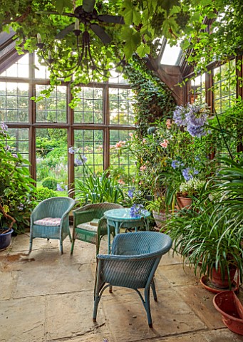 STOCKCROSS_HOUSE_BERKSHIRE_CONSERVATORY_SUMMER_WICKER_CHAIRS_TABLE_CONTAINERS_AGAPANTHUS_OLEANDER_PL