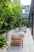 MAYFAIR PENTHOUSE GARDEN, LONDON, PLANTING DESIGN BY ALASDAIR CAMERON: ROOF TERRACE, BALCONY, RAISED BEDS, TABLE, CHAIRS, BIRCHES, BETULA NIGER, FERNS, ACER DAVIDII