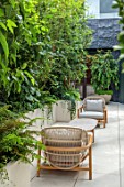 MAYFAIR PENTHOUSE GARDEN, LONDON, PLANTING DESIGN BY ALASDAIR CAMERON: ROOF TERRACE, BALCONY, RAISED BEDS, TABLE, CHAIRS, BIRCHES, BETULA NIGER, FERNS, ACER DAVIDII