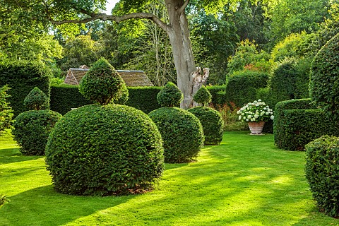 ADMINGTON_HALL_WARWICKSHIRE_TOPIARY_GARDEN_CLIPPED_YEW_TAXUS_HEDGES_HEDGING_TERRACOTTA_CONTAINERS_WI