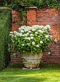 ADMINGTON HALL, WARWICKSHIRE: TOPIARY GARDEN, CLIPPED YEW, TAXUS, TERRACOTTA CONTAINERS WITH HYDRANGEA ARBORESCENS ANNABELLE