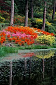 DAZZLING MAY DISPLAY OF AZALEAS BY THE LAKE AT LEONARDSLEE SUSSEX