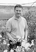 PRIMROSE HALL PEONIES, BEDFORDSHIRE: BLACK AND WHITE PHOTOGRAPH OF NURSERY OWNER ALEC WHITE IN A GLASSHOUSE WITH ALSTROEMERIA FLOWERS, SUMMER