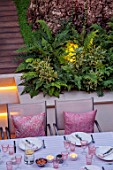 SMALL TOWN, CITY GARDEN DESGNED BY ALASDAIR CAMERON, LONDON: FORMAL, TOWN, GARDEN, NIGHT, LIGHTS, LIGHTING, STEPS, DECKING, TABLE, CHAIRS, OUTDOOR LIVING, FERNS