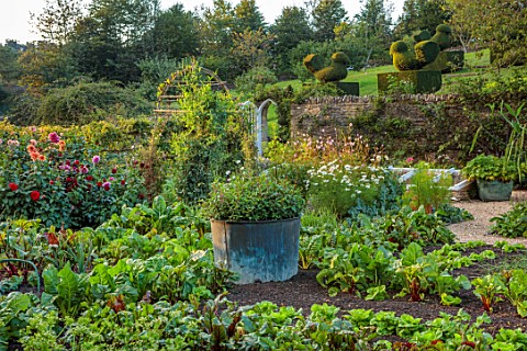 ROCKCLIFFE_GLOUCESTERSHIRE_THE_WALLED_KITCHEN_GARDEN_VEGETABLES_COUNTRY_POTAGER_COPPER_CONTAINER_DAH