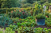 ROCKCLIFFE, GLOUCESTERSHIRE: THE WALLED KITCHEN GARDEN, VEGETABLES, COUNTRY, POTAGER, COPPER CONTAINER, DAHLIAS, CHARD, COSMOS