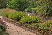BOWCLIFFE HALL, YORKSHIRE: DESIGN ALISTAIR BALDWIN: WALL, RAISED BED, GREEN FOLIAGE, LEAVES, FERN, DRYOPTERIS AFFINIS CRISTATA THE KING, FRONDS, SEPTEMBER, WOODLAND, SHADE, SHADY