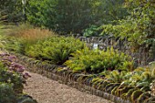 BOWCLIFFE HALL, YORKSHIRE: DESIGN ALISTAIR BALDWIN: WALL, RAISED BED, GREEN FOLIAGE, LEAVES, FERN, DRYOPTERIS AFFINIS CRISTATA THE KING, FRONDS, SEPTEMBER, WOODLAND, SHADE, SHADY