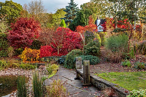 WILD_THYME_COTTAGE_STAFFORDSHIRE_VIEW_FROM_POND_MAPLES_CONIFERS_AUTUMN_FALL_FOLIAGE_LEAVES_TREES_WOO
