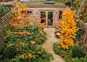 SMALL LONDON GARDEN DESIGNED BY ALASDAIR CAMERON: NOVEMBER, WOODLAND, TREES, PARROTIA PERSICA, PERSIAN IRONWOOD TREE, SHED, PATH, BARBEQUE, BBQ, FIRE, FALL, AUTUMN