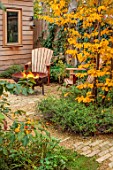 SMALL LONDON GARDEN DESIGNED BY ALASDAIR CAMERON: NOVEMBER, WOODLAND, TREES, PARROTIA PERSICA, PERSIAN IRONWOOD TREE, SHED, PATH, BARBEQUE, BBQ, FALL, AUTUMN, ADIRONDACK CHAIR