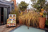 SMALL ROOF GARDEN, LONDON, DESIGNED BY ALASDAIR CAMERON: NOVEMBER, TERRACE, PERGOLA, CHAIR, SEATING, GLASS FLOOR, PENNISETUM IN CONTAINERS