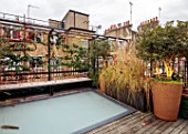 SMALL ROOF GARDEN, LONDON, DESIGNED BY ALASDAIR CAMERON: NOVEMBER, TERRACE, PERGOLA, GLASS FLOOR, PENNISETUM IN CONTAINERS