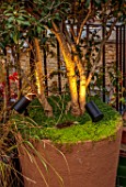 SMALL ROOF GARDEN, LONDON, DESIGNED BY ALASDAIR CAMERON: NOVEMBER, TERRACE, CONTAINERS, LIGHTS, LIGHTING