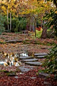MORTON HALL, WORCESTERSHIRE: AUTUMN, FALL, TREES, SHRUBS, POOL, WATER, UPPER POND, STROLL GARDEN, STEPPING STONES, BENCH, SEAT, BIRCHES