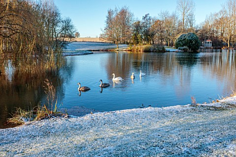 PRIORS_MARSTON_WARWICKSHIRE_THE_MANOR_HOUSE_FROST_SNOW_WINTER_DECEMBER_LAKE_WATER_SWANS_BIRDS