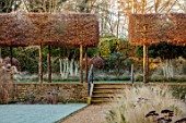 THE OLD RECTORY, QUINTON, NORTHAMPTONSHIRE: DESIGNER ANOUSHKA FEILER: LAWN, FROST, STEPS, WINTER, GARDEN, ENGLISH, COUNTRY, JANUARY, HEDGES, HEDGING, WALLS, PLEACHED HORNBEAM