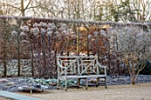 THE OLD RECTORY, QUINTON, NORTHAMPTONSHIRE: DESIGNER ANOUSHKA FEILER: GRASSES, FROST, WINTER, FROSTY GARDEN, ENGLISH, COUNTRY, JANUARY, WOODEN BENCH, SEAT, BORDERS, HEDGES, HEDGING